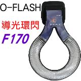 O-FLASH(F170){O౵ LZΰ{O౵()
