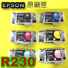 EPSON R210/R230/R350/RX650 T0491,T0492,T0493,T0494,T0495,T0496tX(1)()
