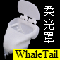WhaleTailXn(t-ReporterO̪)(Xn)()