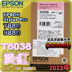 EPSON T6036 H谬-tX(220ml)-(2023~)(EPSON STYLUS PRO 7880/9880)(VIVID LIGHT MAGENTA)